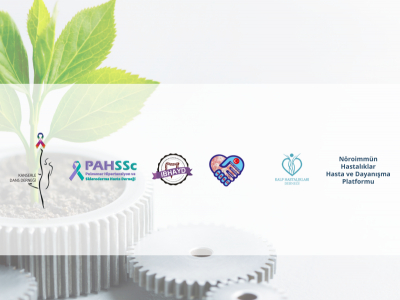 Special Mentoring Process for Patient Associations