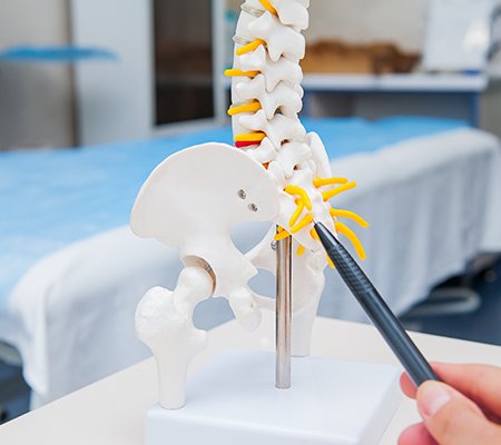 Dünyada, Her Üç Saniyede Bir Osteoporoz’a Bağlı Kırık Oluşuyor